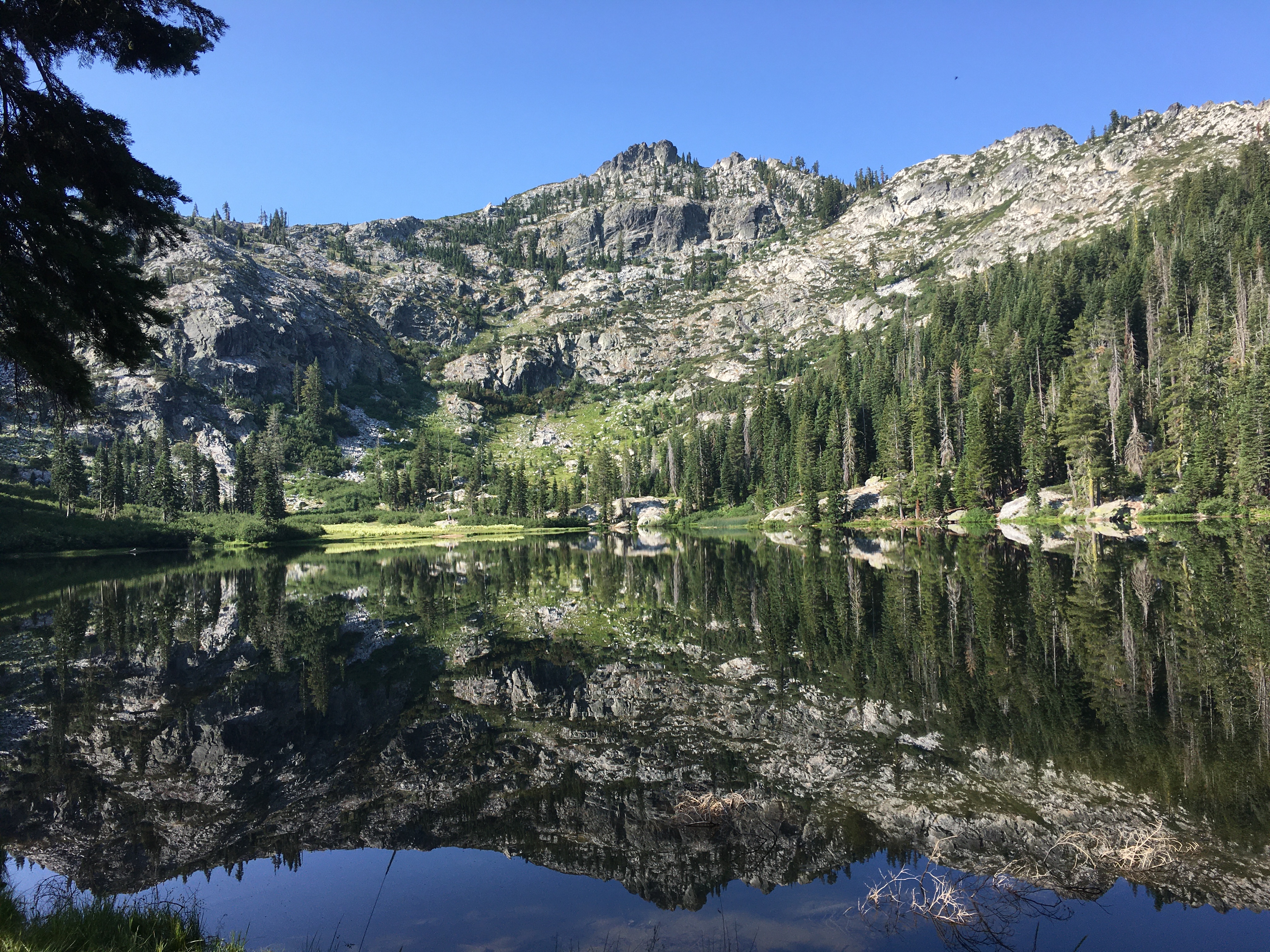 Tangle Blue Lake in the Trinity Alps Wilderness is an alpine lake surrounded by granite cliffs and conifer trees.